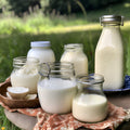 Raw Milk Half Share Boarding Fee